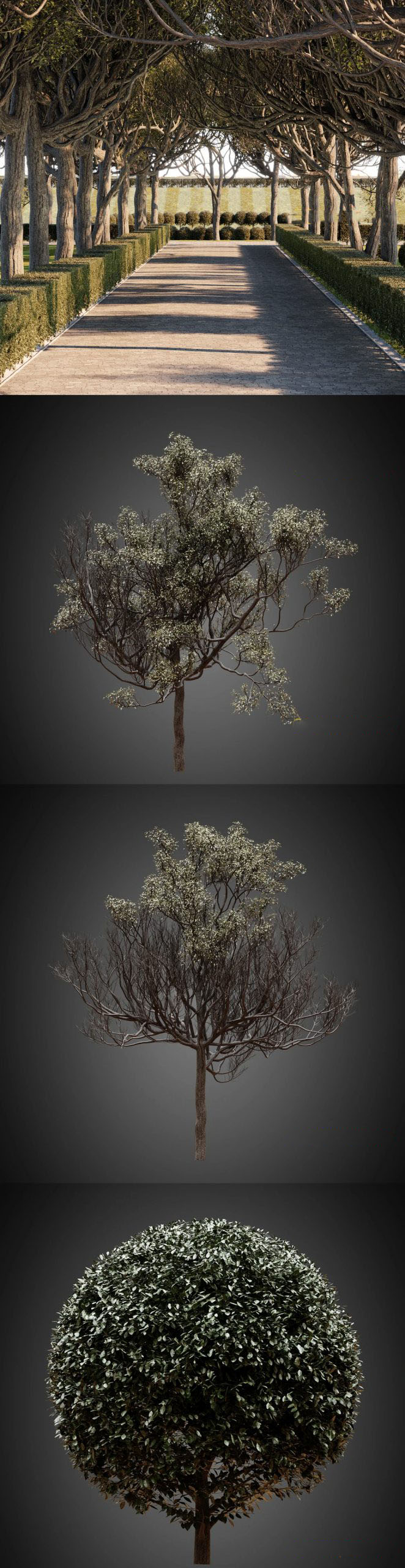 景观树木模型.jpg