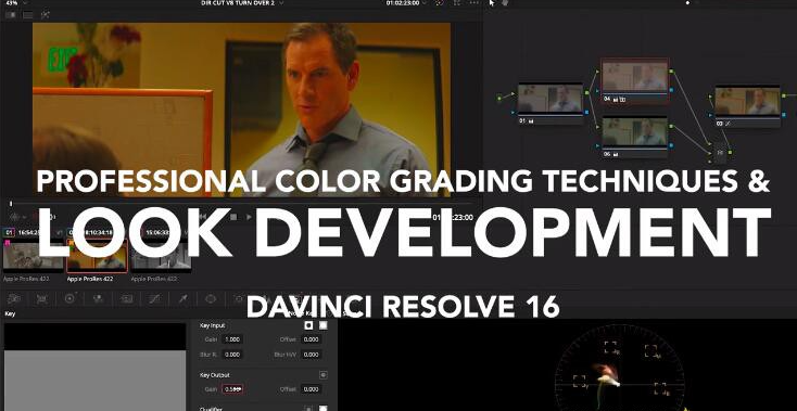 DaVinci Resolve 16国外专业大师色彩分级技术达芬奇调色视频教程-中文字幕