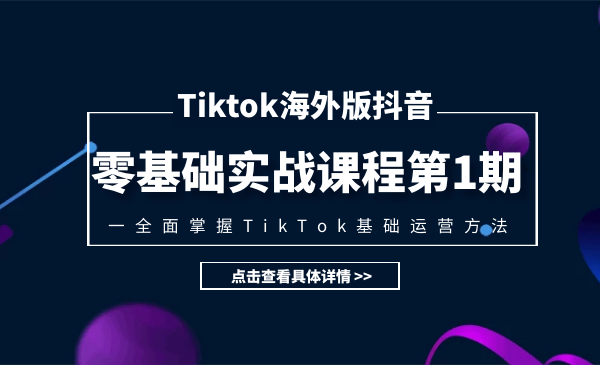 Tiktok海外版抖音零基础实战课程第1期运营方法