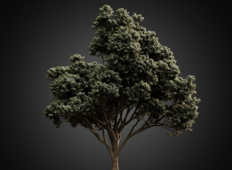 3D树木模型FBX格式网盘下载