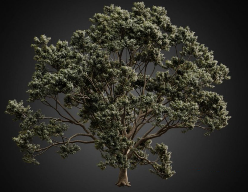 3D树木模型FBX格式网盘下载