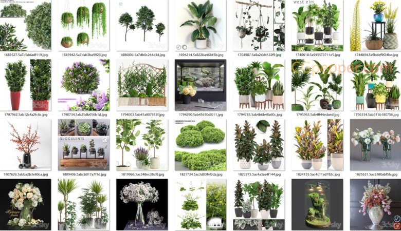 3D室内花盘植物模型合集