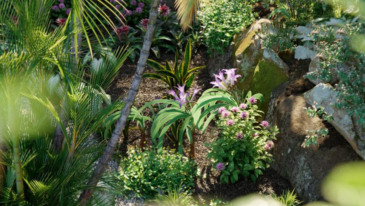 南美洲热带园艺植物模型